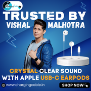Apple USB-C wired EarPods