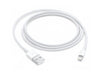 Lightning To Usb Charge and Data Sync Lightning Cable for Apple iPhone SE (2019)- 1 M White